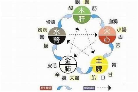 五行缺水ptt|生辰八字中五行缺水的人有什么补救办法？